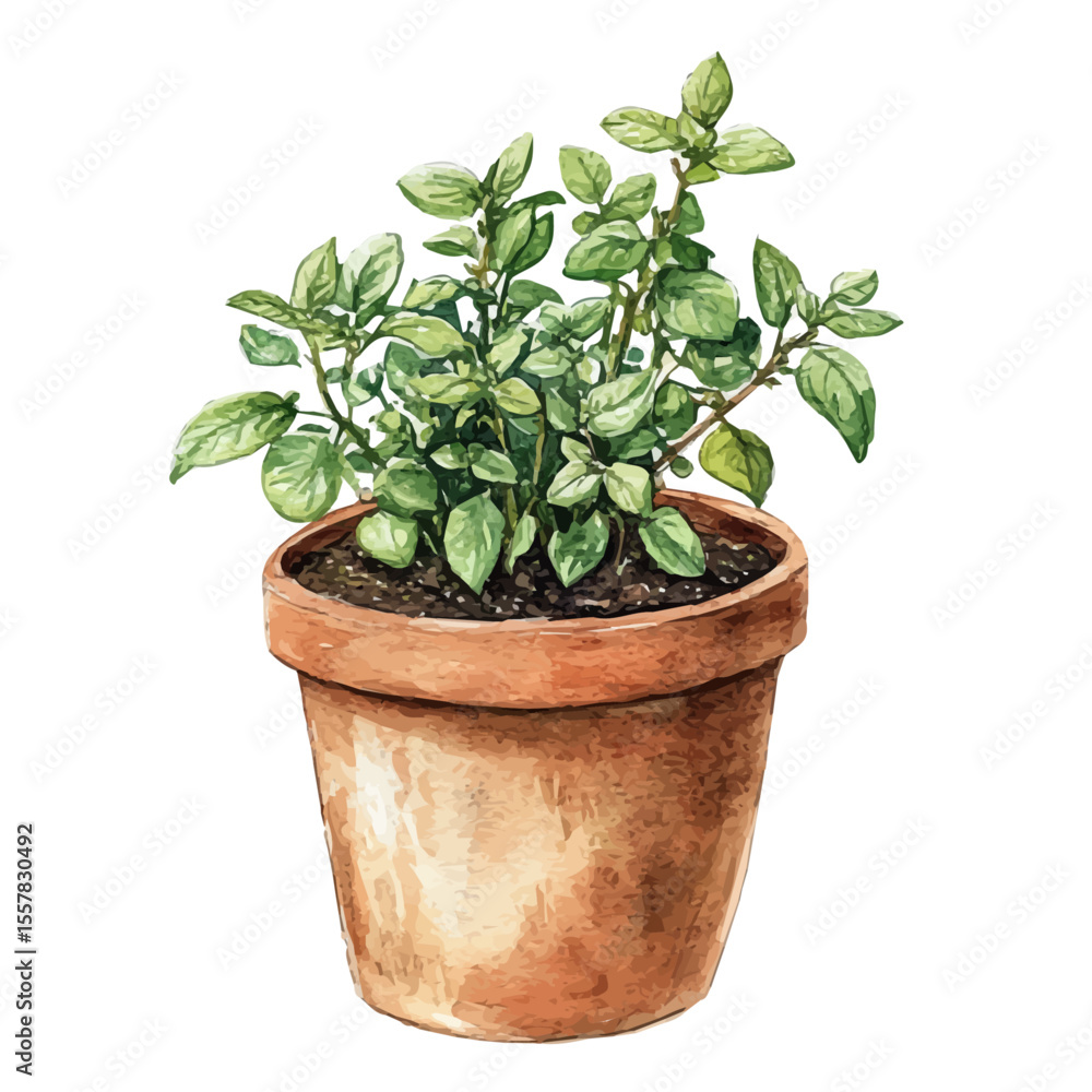 Obraz premium watercolor vector of Herb Planter, isolated on a white background.