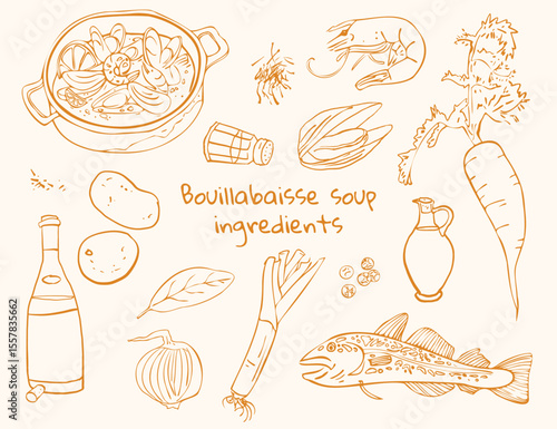 Bouillabaisse soup hand drawn illustration. Doodle style objects of the soup ingredients.  Food isolated outline style illustrations. 