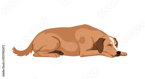 Illustration of a light brown dog with dark brown ears lying down and sleeping peacefully on the floor