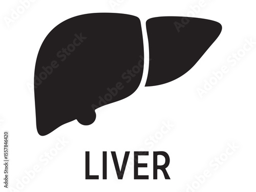 Black silhouette of human liver isolated on white background, graphic illustration. concept of human anatomy, digestive system, medical study, health icon, design element