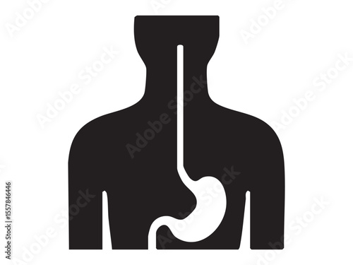 Black silhouette of human torso with digestive system esophagus and stomach isolated on white background, graphic illustration. Concept of anatomy, internal organs, digestion, medicine