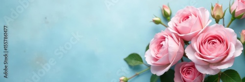 Delicate blush pink roses and hydrangeas on soft blue backdrop, pink, gentle, wedding