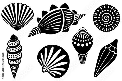 detailed seashell vector set with intricate patterns