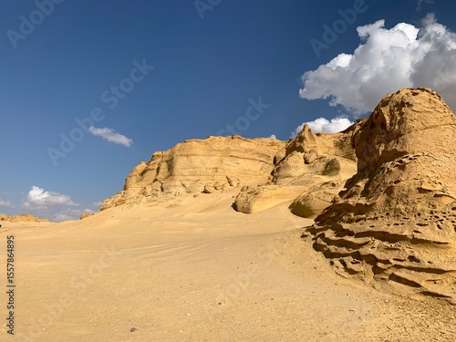Wadi al-Hitan, Fayoum