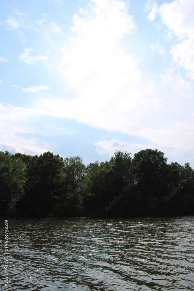 Obraz premium lake in the forest