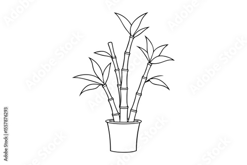Stylish Lucky Bamboo Outline Illustration for Lunar New Year Graphics