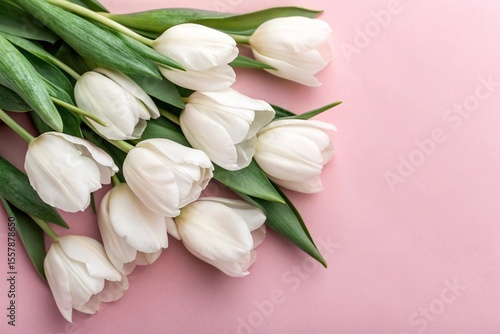 Wallpaper Mural Bouquet of white delicate tulips on pink background, Top view Torontodigital.ca
