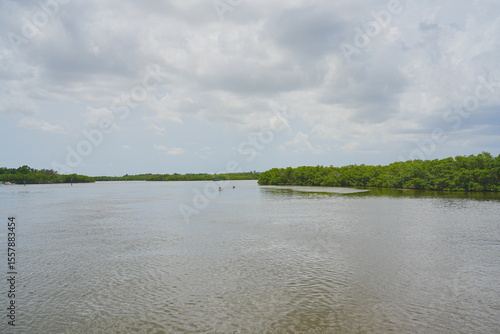 St. Petersburg, Forida, USA 06 29 2025: The landscape of Weedon Island Preserve Cultural and Natural History Center