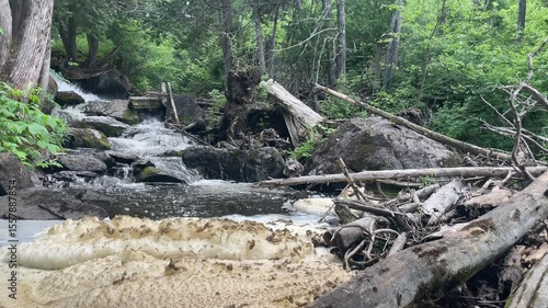 waterfall with fallen trees in the forest