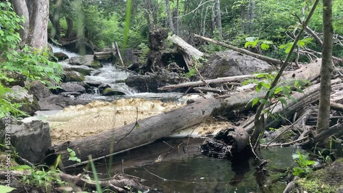 waterfall with fallen trees in the forest