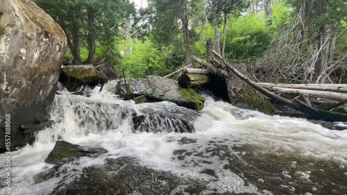waterfall with fallen trees in the forest