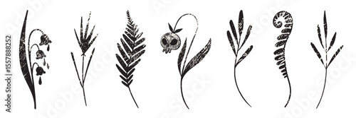 Mystical vector plants in neofolk style. Ink-drawn herbs with vintage fairytale texture. Perfect for occult, boho, nature-inspired or witchy design projects.
