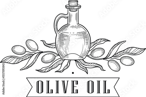 Olive oil emblem. Hand drawn label for extra virgin oil or olive contained cosmetic products with sketch tree, branches, leaves and olives isolated vector illustration