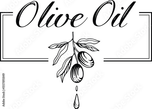 Olive oil emblem. Hand drawn label for extra virgin oil or olive contained cosmetic products with sketch tree, branches, leaves and olives isolated vector illustration