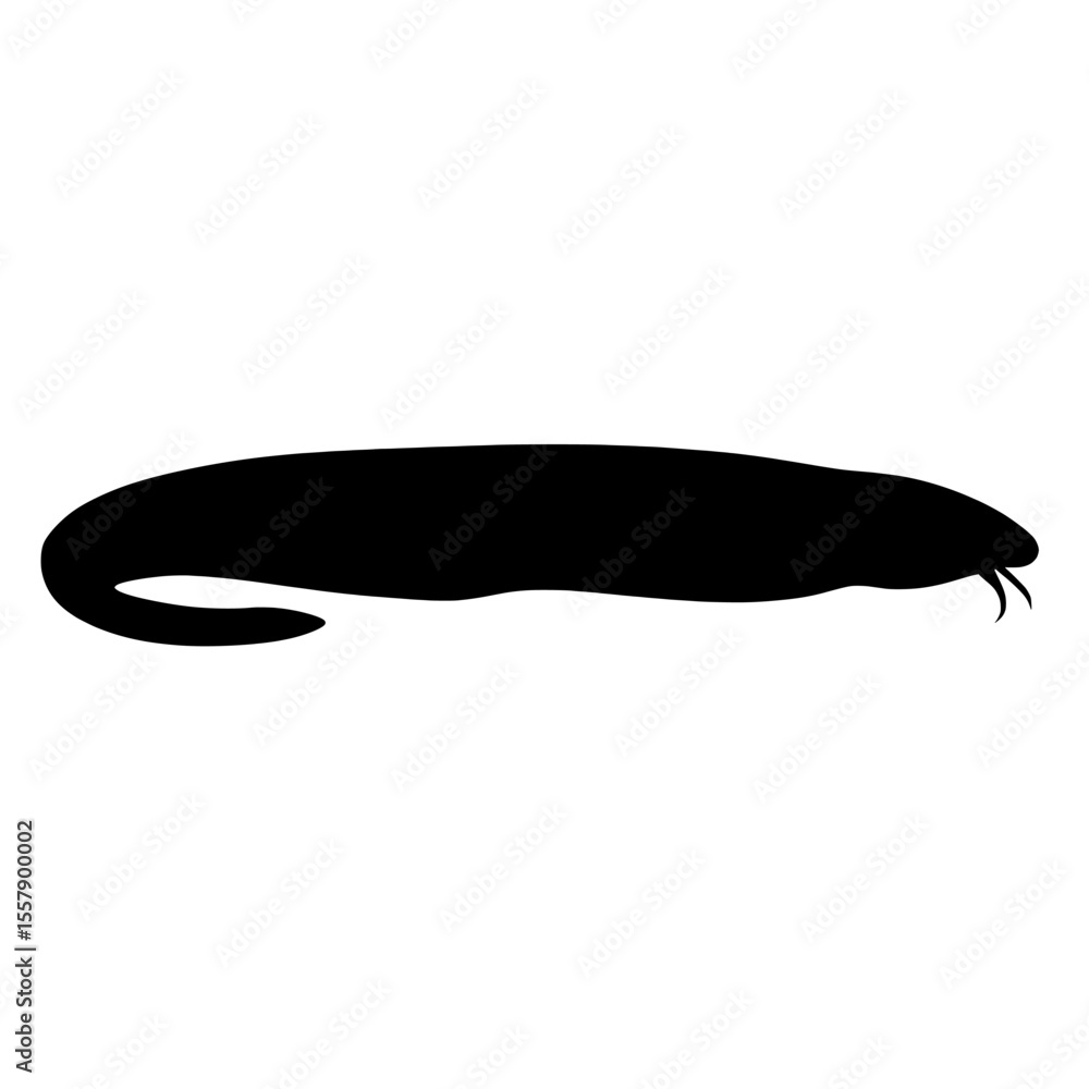 Fototapeta premium Sleek Black Hagfish Silhouette Curving Gracefully