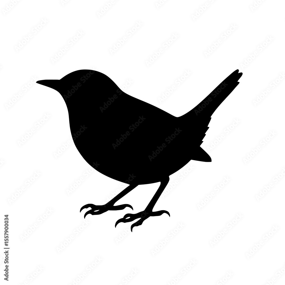 Obraz premium Silhouette of a House Wren Standing with Tail Raised Against a Bright White Background