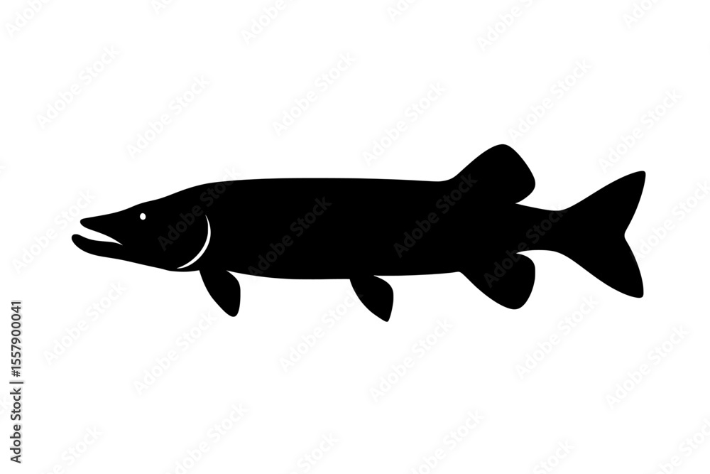 Obraz premium Silhouette of Tiger Muskellunge Fish in Black on White Background