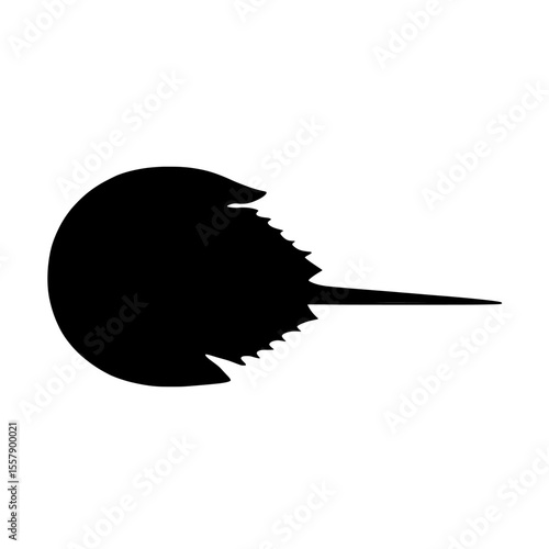 Silhouette of a Horseshoe Crab with Clear Tail Outline on White Background