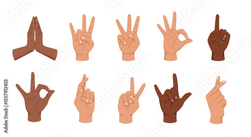 Diverse Hand Gestures A Collection of Illustrated Hand Signals