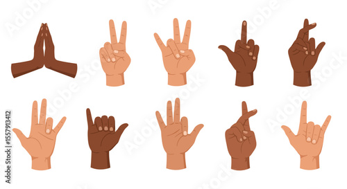 Diverse Hand Gestures A Collection of Illustrated Hand Poses