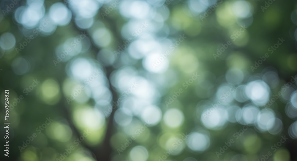 Obraz premium Blurred view of lush green foliage, sunlight filtering through trees.