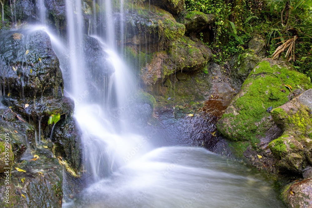 Fototapeta premium waterfall in the forest