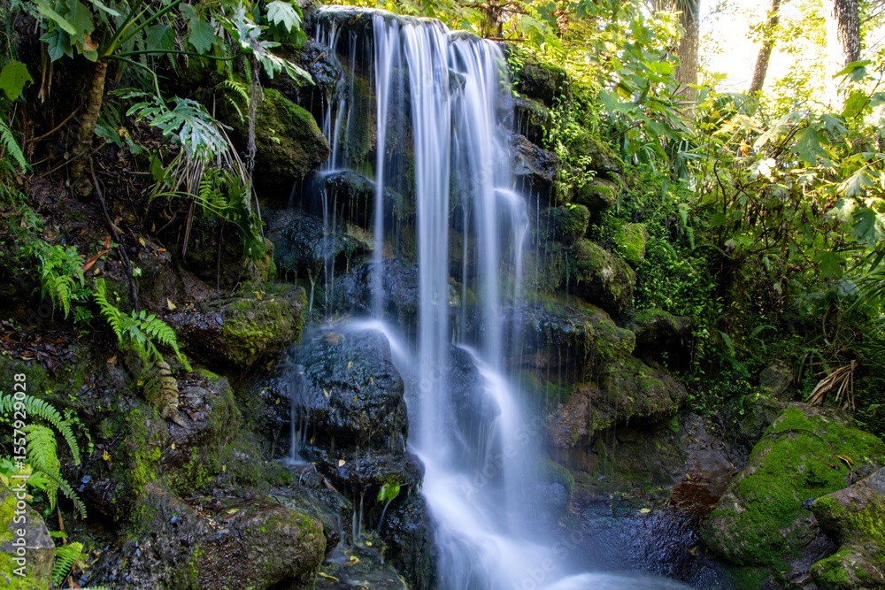 Naklejka premium waterfall in the forest