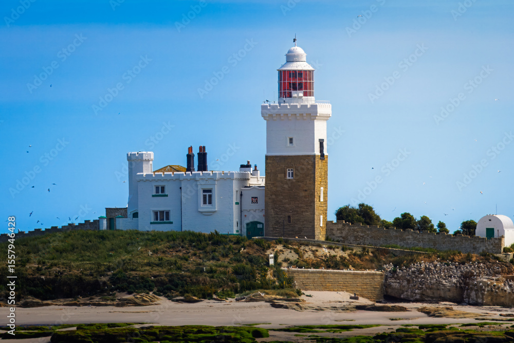 Coquet Island Lighthouse and nature reserve, Northumberland June 2025 Coquet Island Lighthouse and nature reserve, Northumberland June 2025