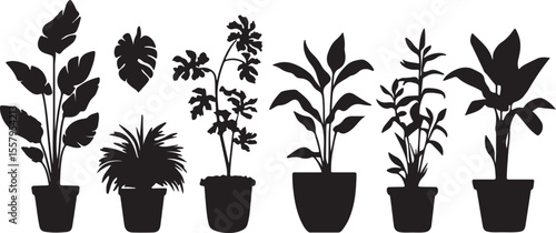 Houseplant Silhouette Collection – Botanical Black Vector Art