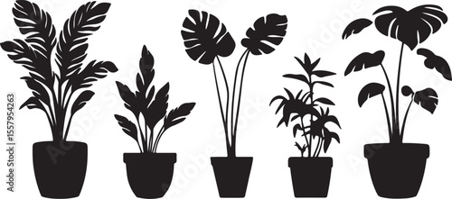 Houseplant Silhouette Collection – Botanical Black Vector Art