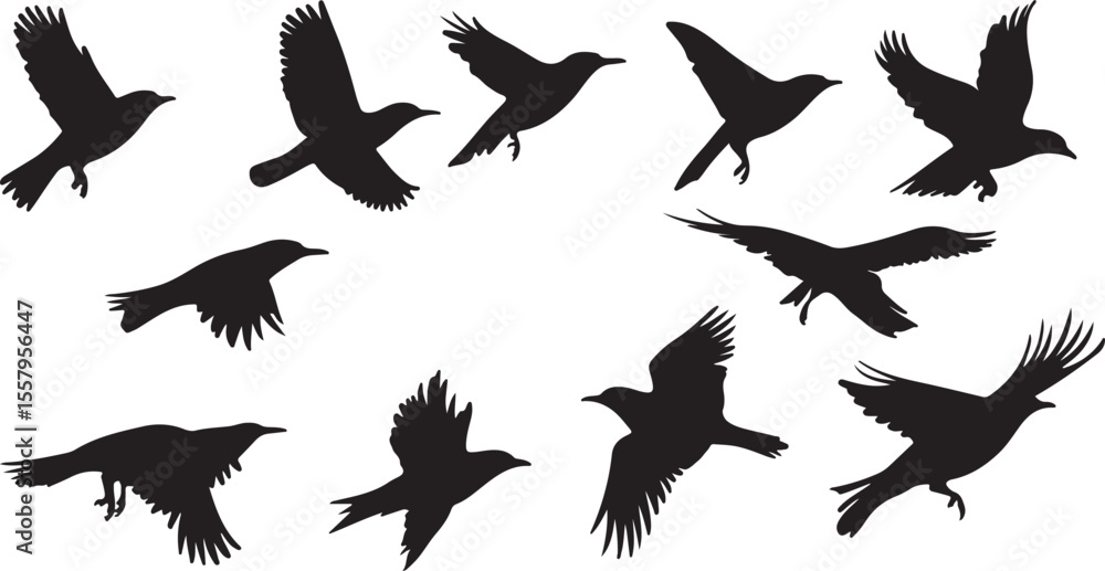 Obraz premium Flying Bird Silhouettes Collection - Vector Black Bird Illustrations