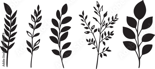 Natural Leaf Branch Vector Set