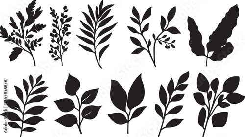 Natural Leaf Branch Vector Set