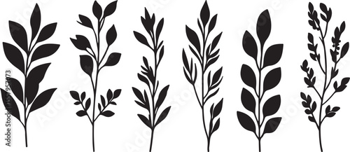 Elegant Plant and Leaf Silhouettes