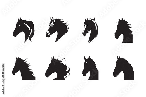 horse, head of a horse, portrait, image, graphics, various options.