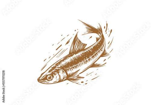 Minnow Fish Hand Drawn Natural Illustration Vector Isolated by AZ for Books, Arts, Design and Decoration Graphic Asset