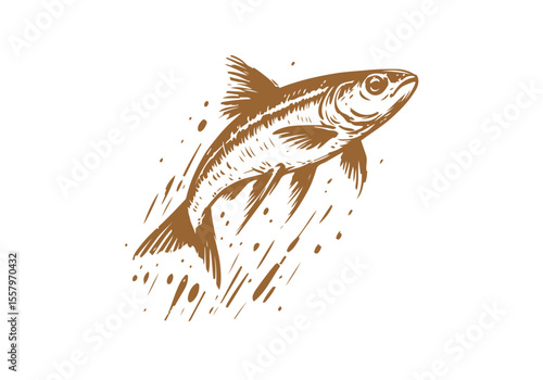 Minnow Fish Hand Drawn Natural Illustration Vector Isolated by AZ for Books, Arts, Design and Decoration Graphic Asset