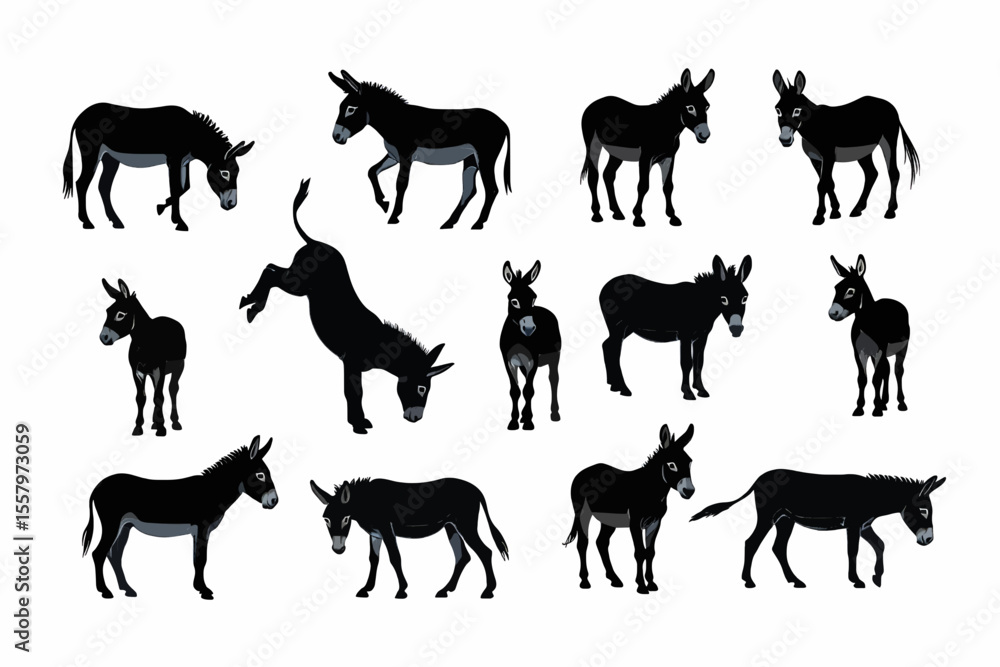 Obraz premium donkey silhouettes vector , various poses of black donkeys on a white background