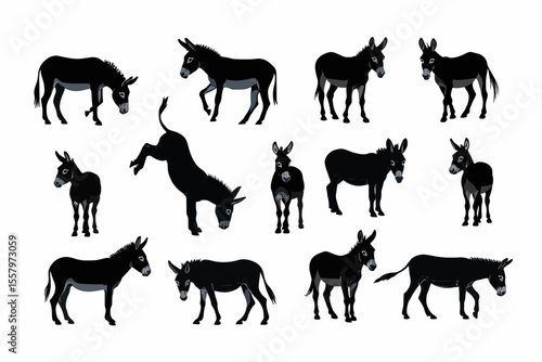 donkey silhouettes vector , various poses of black donkeys on a white background