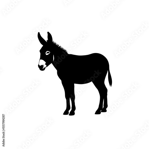 silhouette  vector of a donkey , A silhouette of a donkey standing on a white background in full view on transparent background , ai , eps , jpg , png
