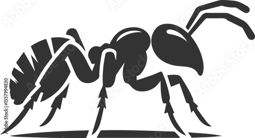 Black vector of ant insect silhouette