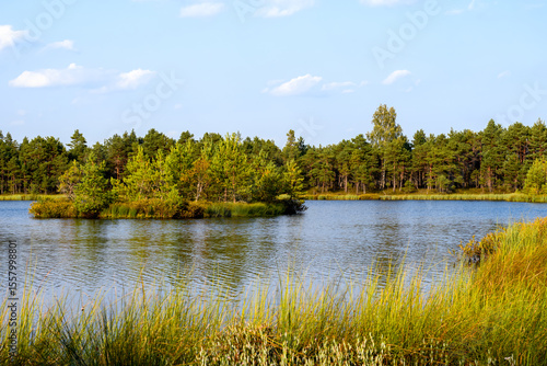 Picturesque bog lake in Selisoo, Estonia, at day's end. Calm water with ripples catches sky's hues, surrounding a small island with pines, reeds, bog vegetation. Highlights wetland beauty.