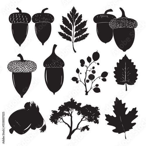 acorn clipart silhouette set, Black & White silhouette set