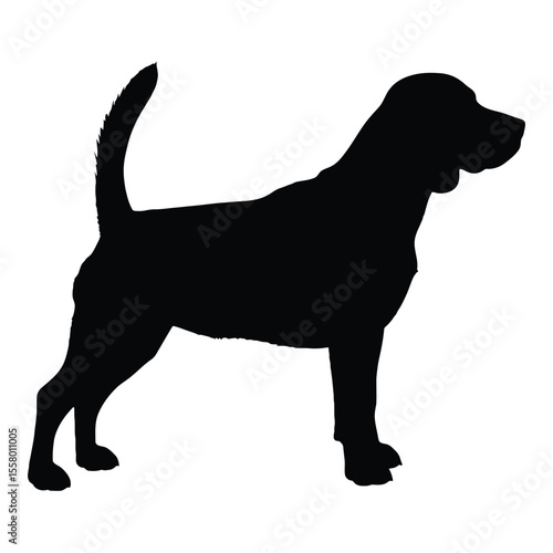 A silhouette of a dog, standing proudly. The dog has a sleek and well-defined form
