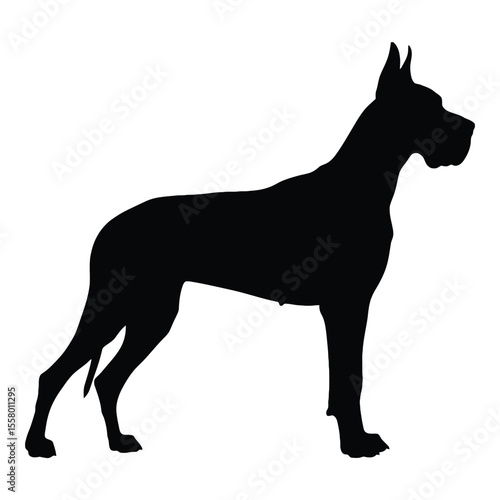A majestic Great Dane silhouette standing proudly