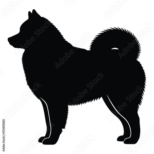 Silhouette of a fluffy dog standing on all four legs. The dog is facing left and has a thick, bushy tail