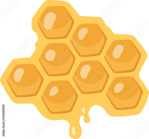 Honeycomb Illustration with Honey

