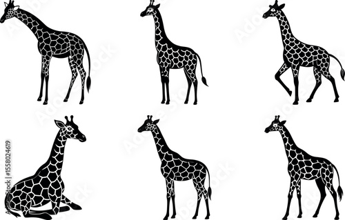 Giraffe Walking Silhouette Vector 