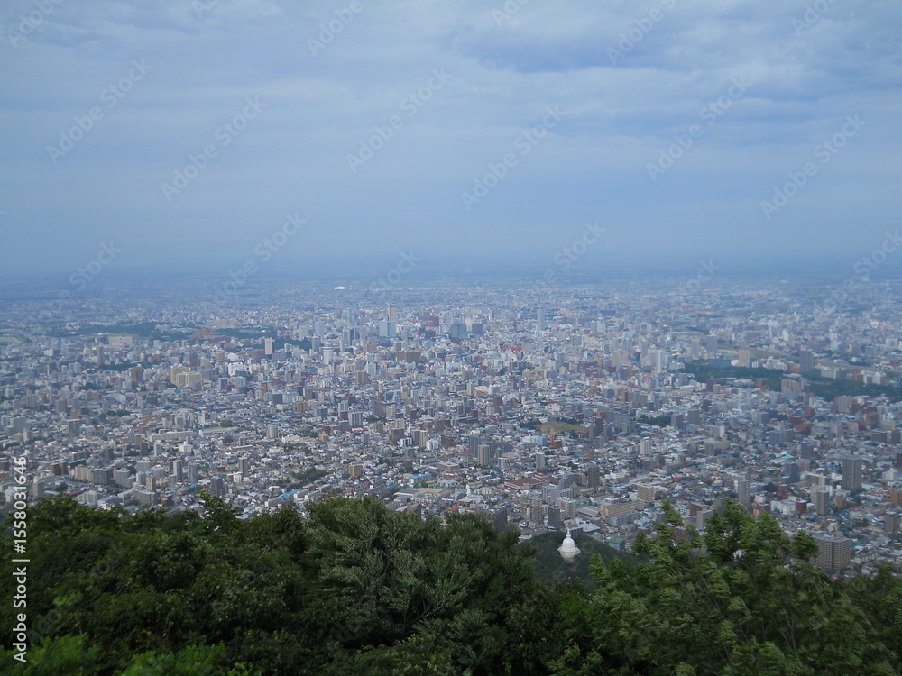 Obraz premium aerial view of the city