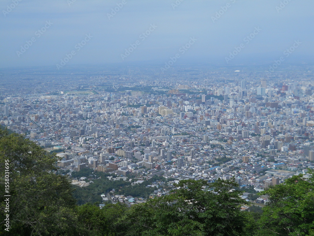 Fototapeta premium Ariel view of Sapporo, Japan